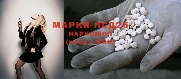 хмурый Абаза
