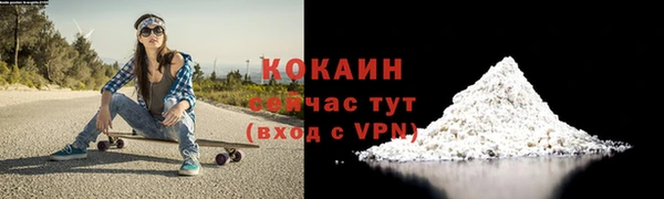 хмурый Абаза
