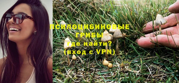 стафф Абинск