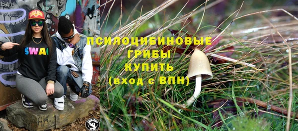 бошки Абдулино