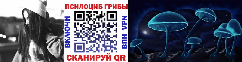 ОМГ ОМГ как зайти  купить наркотик  Зеленокумск  Псилоцибиновые грибы Psilocybe 